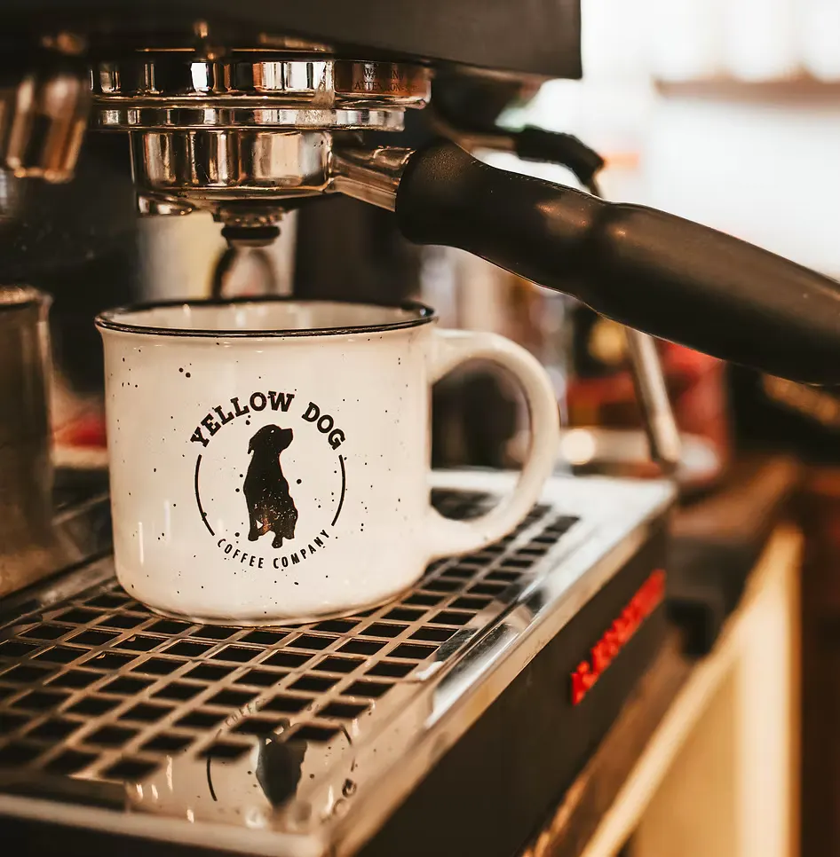 Business profile photo for Yellow Dog Coffee Company